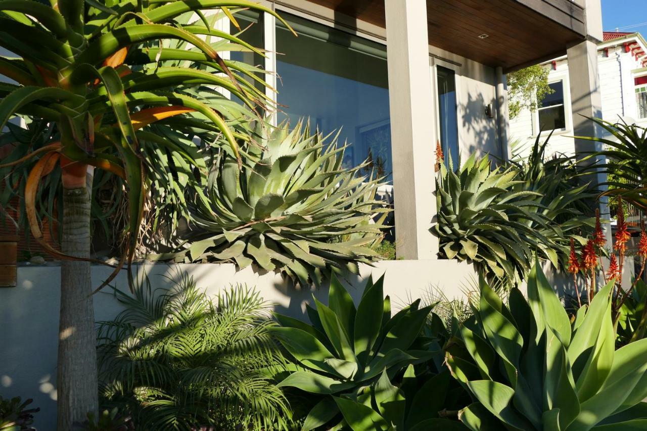 Waterfront Bliss Hotel Nelson Bagian luar foto